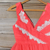August Lace Party Dress: Alternate View #2