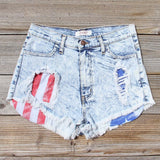 Born Wild Distressed Shorts: Alternate View #1