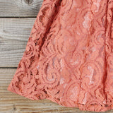 Hickory Hill Lace Dress: Alternate View #3