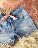 Vintage Levi's Orange Tab Shorts: Alternate View #2