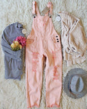 Soft + Destructed Overalls: Alternate View #2
