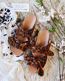 Sweet Sycamore Slides: Alternate View #1