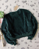 Apres Ski Teddy Sweatshirt in Pine: Alternate View #3