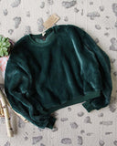 Apres Ski Teddy Sweatshirt in Pine: Alternate View #1
