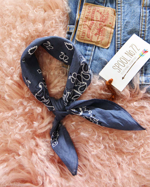 Luxe Cotton Bandana in Blue: Featured Product Image