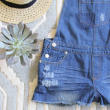 Camper Distressed Overalls: Alternate View #2