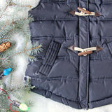 Chalet Cozy Vest in Navy: Alternate View #3