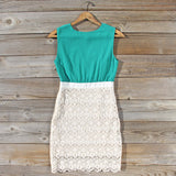 Clover Sky Lace Dress: Alternate View #4