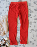 Cozy Thermal Joggers: Alternate View #4