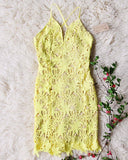 Daffodil Lace Dress: Alternate View #4
