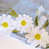 Daisy Sky Shorts: Alternate View #3