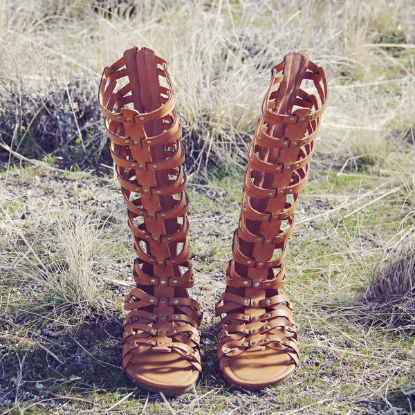 Desert Walker Sandals: Featured Product Image