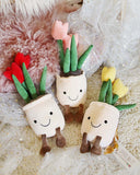 Sweet Desk Plant Buddy: Alternate View #2