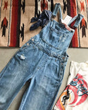 The Dodge Flare Overalls: Alternate View #3