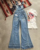 The Dodge Flare Overalls: Alternate View #4