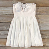 Dreaming of January Dress: Alternate View #1