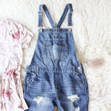 Easy May Overalls Dark Wash: Alternate View #2