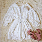 Ellowise Lace Dress: Alternate View #2