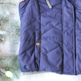 Forest Smoke Hooded Vest in Navy: Alternate View #3