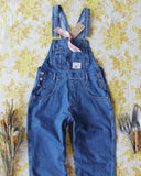 Gardeners Overalls in Denim: Alternate View #1