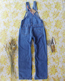 Gardeners Overalls in Denim: Alternate View #3