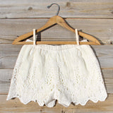 Honey Lace Shorts: Alternate View #3