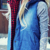 The Johnny Plaid Vest: Alternate View #2