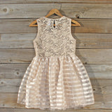 Lace Kiss Party Dress: Alternate View #4