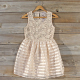 Lace Kiss Party Dress: Alternate View #1