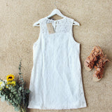 Lace Moonlight Dress: Alternate View #4