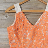 Poppies & Lace Dress: Alternate View #2