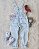Paint By Numbers Overalls: Alternate View #4