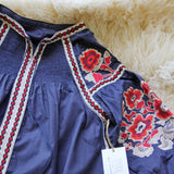 Misha Embroidered Dress: Alternate View #2