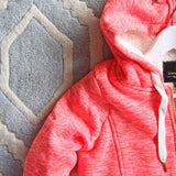 Mt. Stewart Hoodie in Pink: Alternate View #2