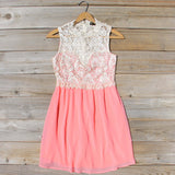 Neptune Lace Dress in Peach: Alternate View #1
