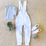 Out & About Overalls: Alternate View #2