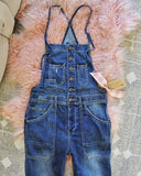 Painters Overalls: Alternate View #2