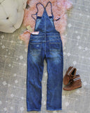 Painters Overalls: Alternate View #3