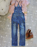 Painters Overalls: Alternate View #1