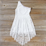 Rhapsody Lace Dress: Alternate View #4