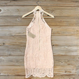 Rose & Aloe Dress: Alternate View #4