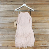 Rose Smoke Dress: Alternate View #4