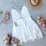 Sand Dollar Lace Dress: Alternate View #4