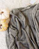 Softest Teddy Hoodie in Sage: Alternate View #2