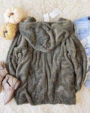 Softest Teddy Hoodie in Sage: Alternate View #3