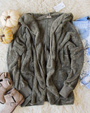 Softest Teddy Hoodie in Sage: Alternate View #1