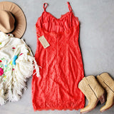 Sonora Lace Dress: Alternate View #4