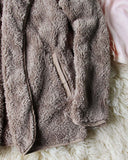Soulmate Teddy Hoodie in Taupe: Alternate View #3