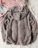 Soulmate Teddy Hoodie in Taupe: Alternate View #4