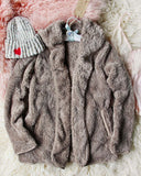 Soulmate Teddy Hoodie in Taupe: Alternate View #1